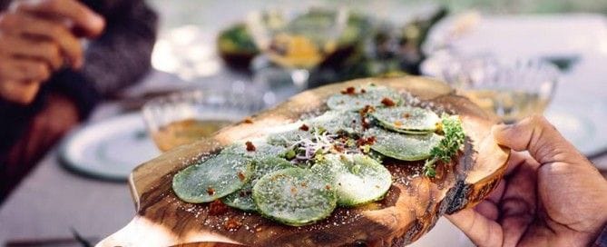 Sustitutos Veganos